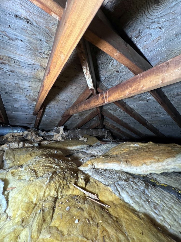 Attic rafters and insulation inspected for ventilation and moisture