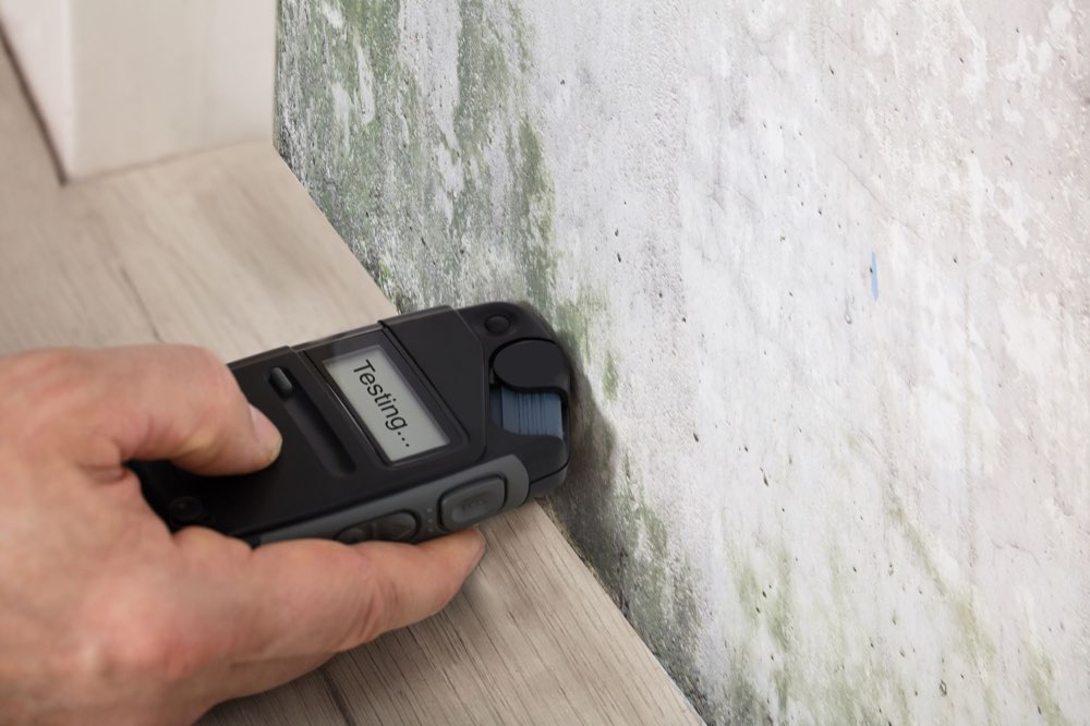 Moisture meter testing a wall with visible mold growth during a mold inspection